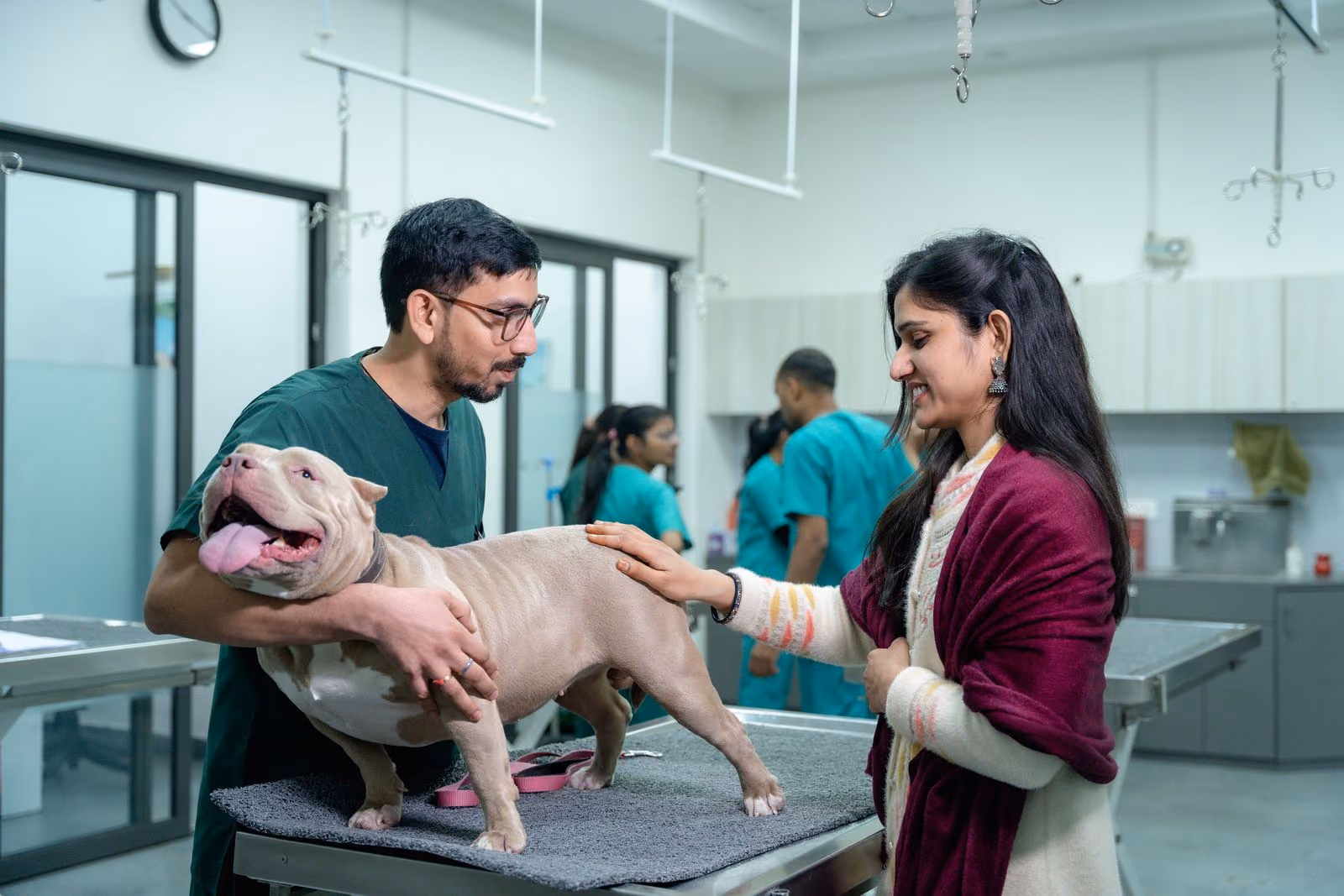 Veterinaria revisando a un perro mientras su dueña lo sostiene